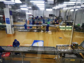 多圖首發！解密水產智能化工廠與文化館，探索未來水產新生態